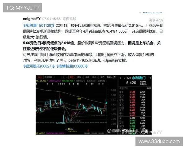 探索澳博控股集团官网：了解最新动态与投资机会